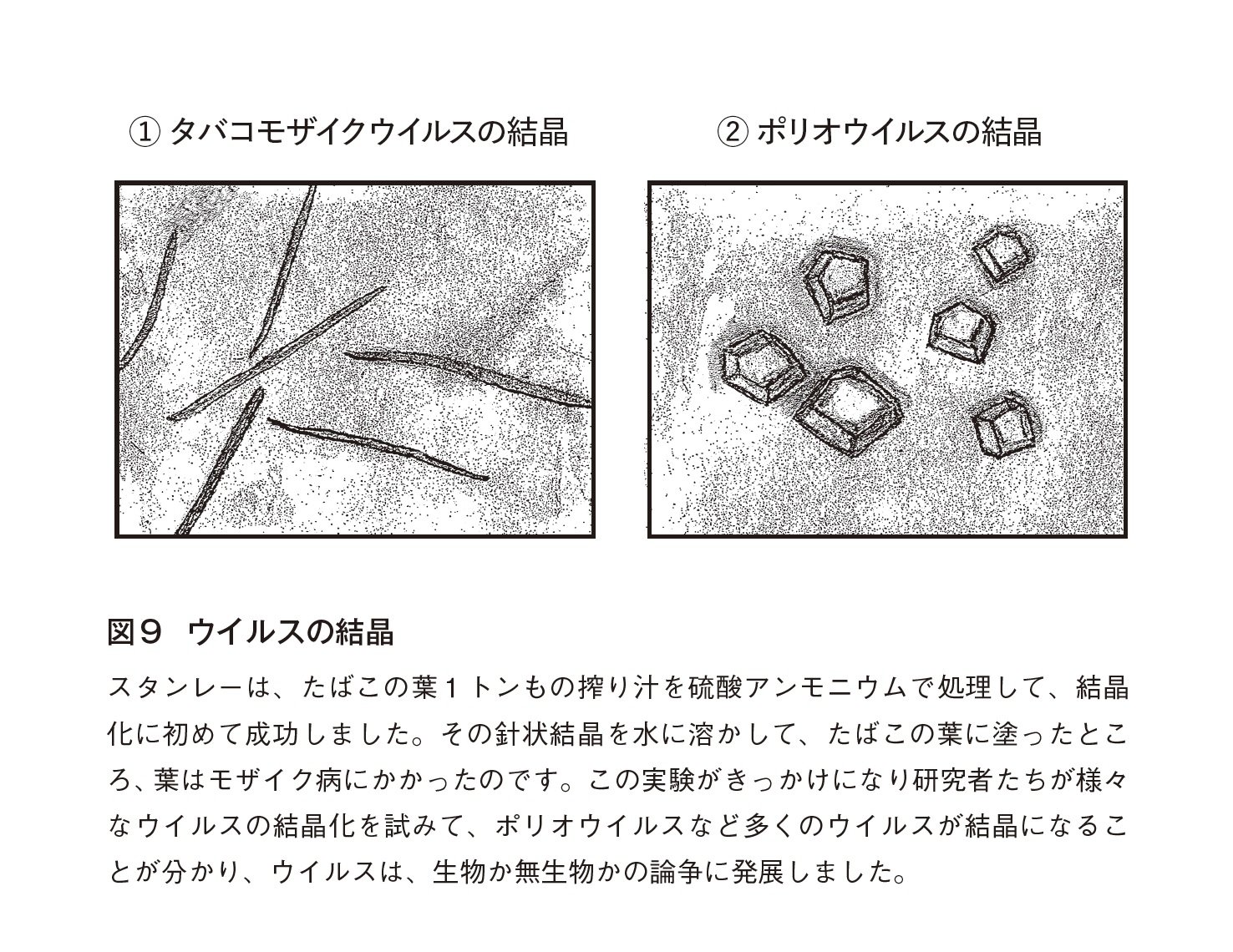 「ウイルスって、どんな生き物なのですか、それとも無生物なのですか」 ｜ ゴールドライフオンライン