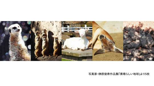 たっぷり陽を浴びて。