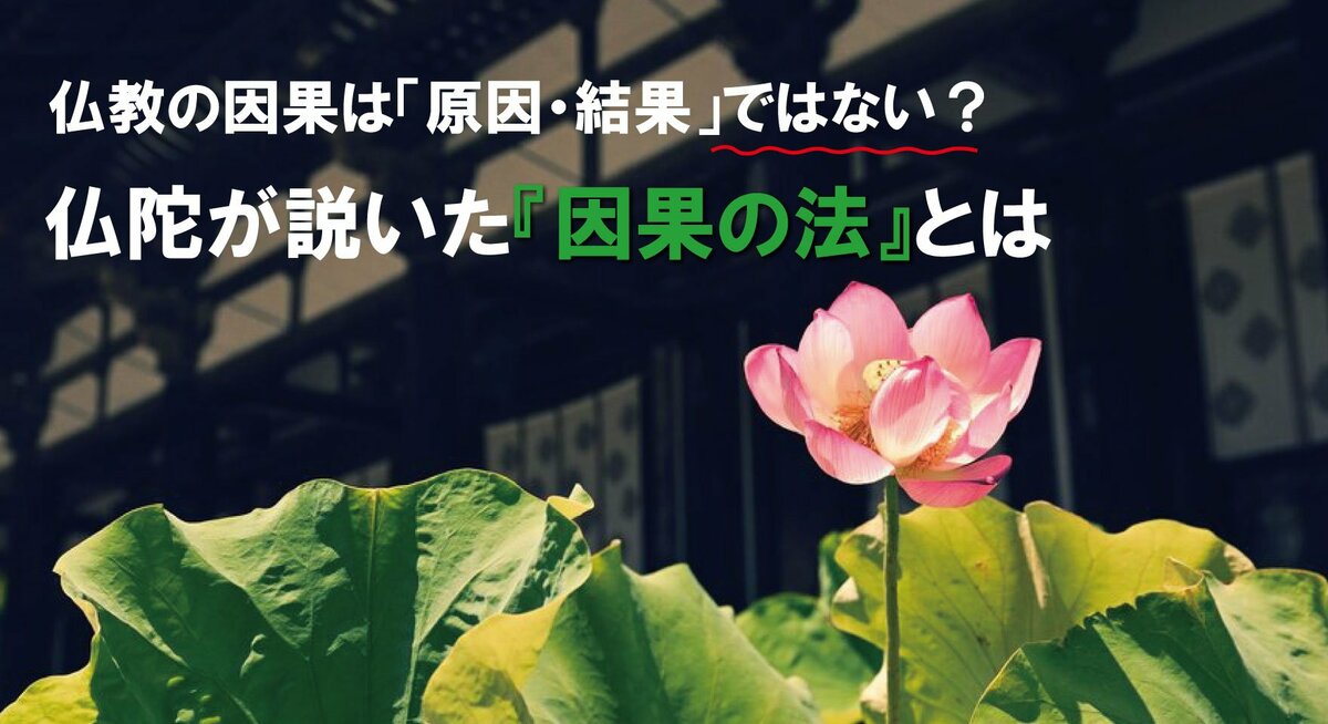 仏教の因果は「原因・結果」ではない？仏陀が説いた『因果の法』とは｜ゴールドライフオンライン