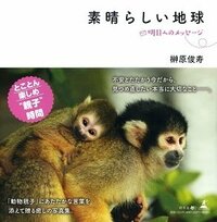素晴らしい地球