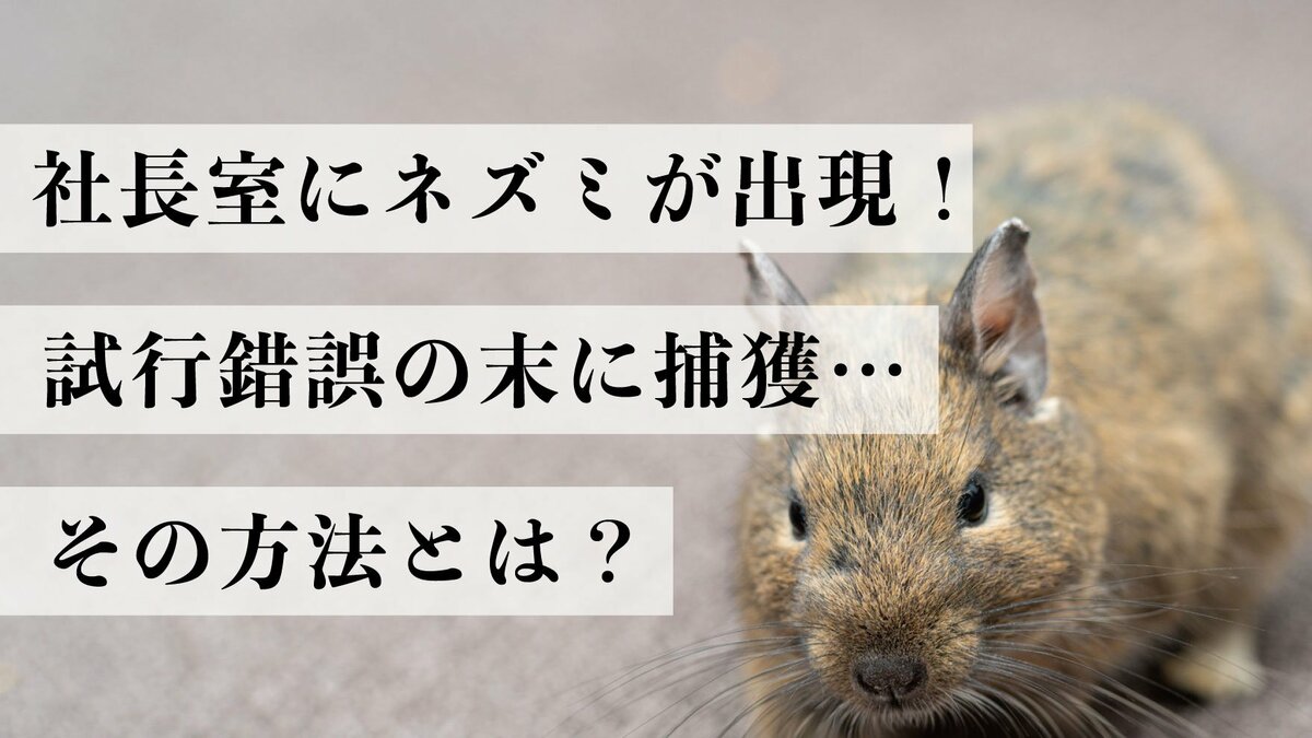 ネズミ❣️連絡ページ 社長室にネズミが出現！試行錯誤の末に捕獲…その方法とは？｜ゴールド