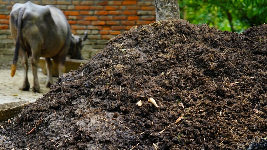 「糞がある程度硬いことが重要だ」と言われた意味がようやく分かった ｜ ゴールドライフオンライン