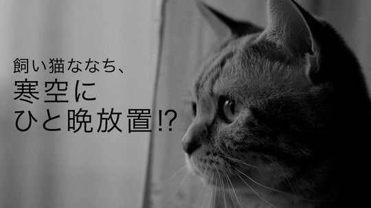 あれは8年前のこと…。
