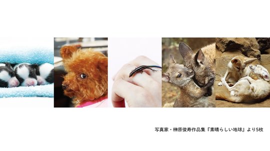 小さくても身体は一人前。