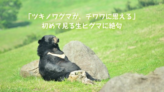 「確実に死ぬ」と思った。
