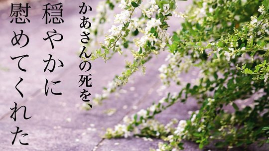 時も忘れ 眺め続けていた