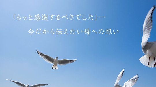 もっと感謝するべきでした
