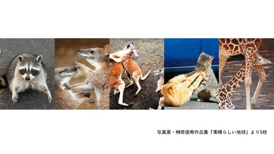 おなかの下で一休み。