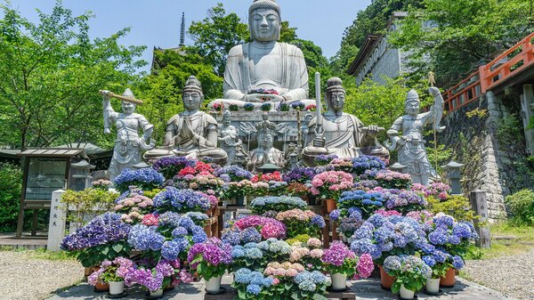 初期仏教は実践的な自己心理学であった。新解釈で十二支縁起を紐解く ｜ ゴールドライフオンライン