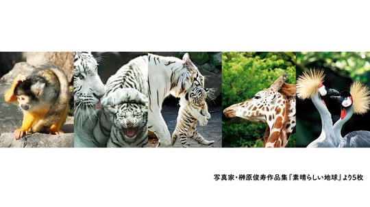 ロマンスが最高!