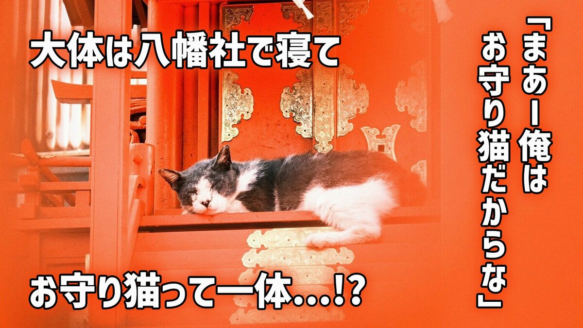 大体は八幡社で寝て…「まあー俺はお守り猫だからな」お守り猫って一体