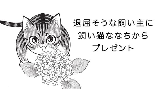 雨の季節のプレゼント。