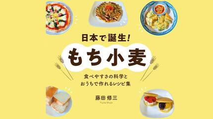 日本で誕生!もち小麦