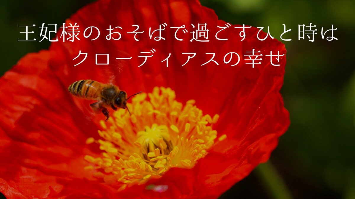 クローディア♪様へ と*も様 開運コロシアム シリアル